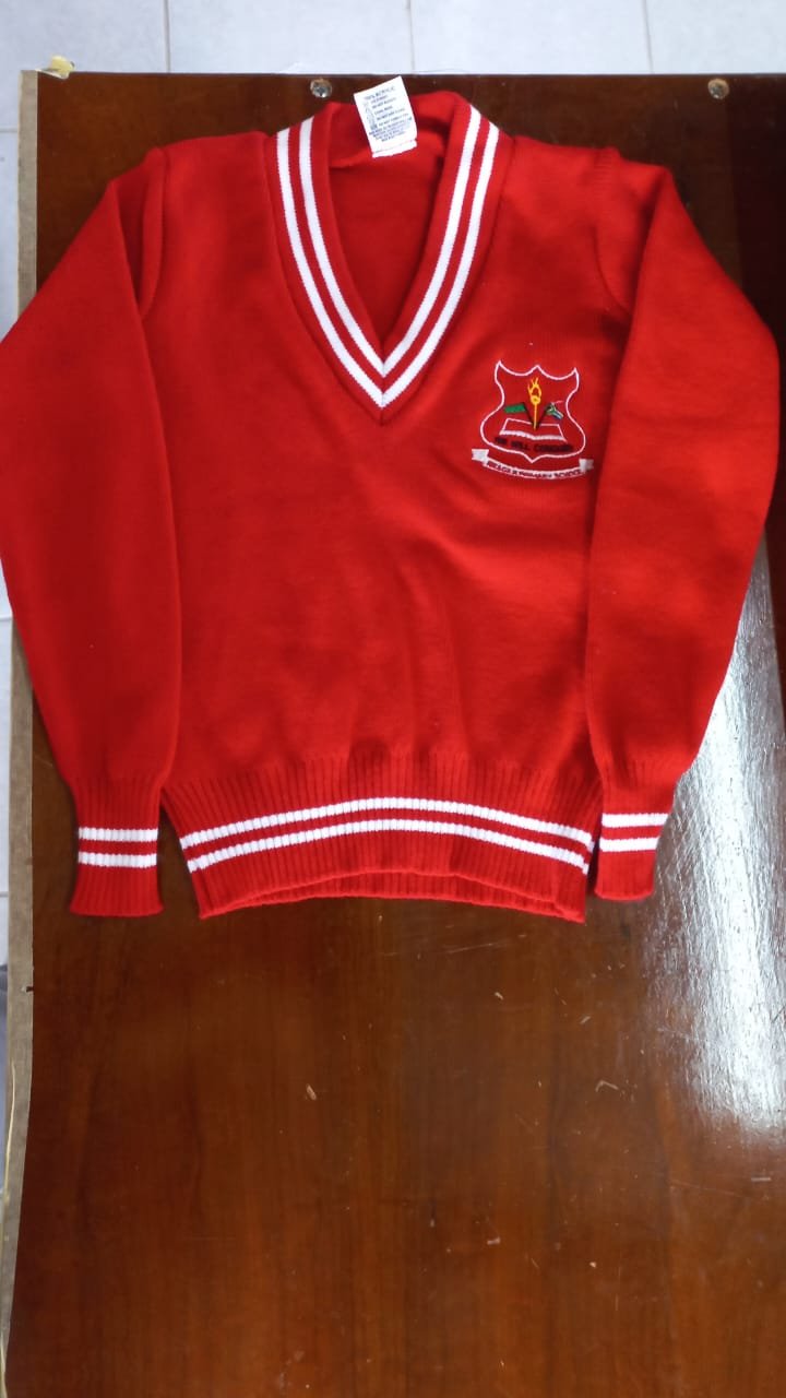 Red school V-neck jersey with embroidered crest — M2 Embroidery
